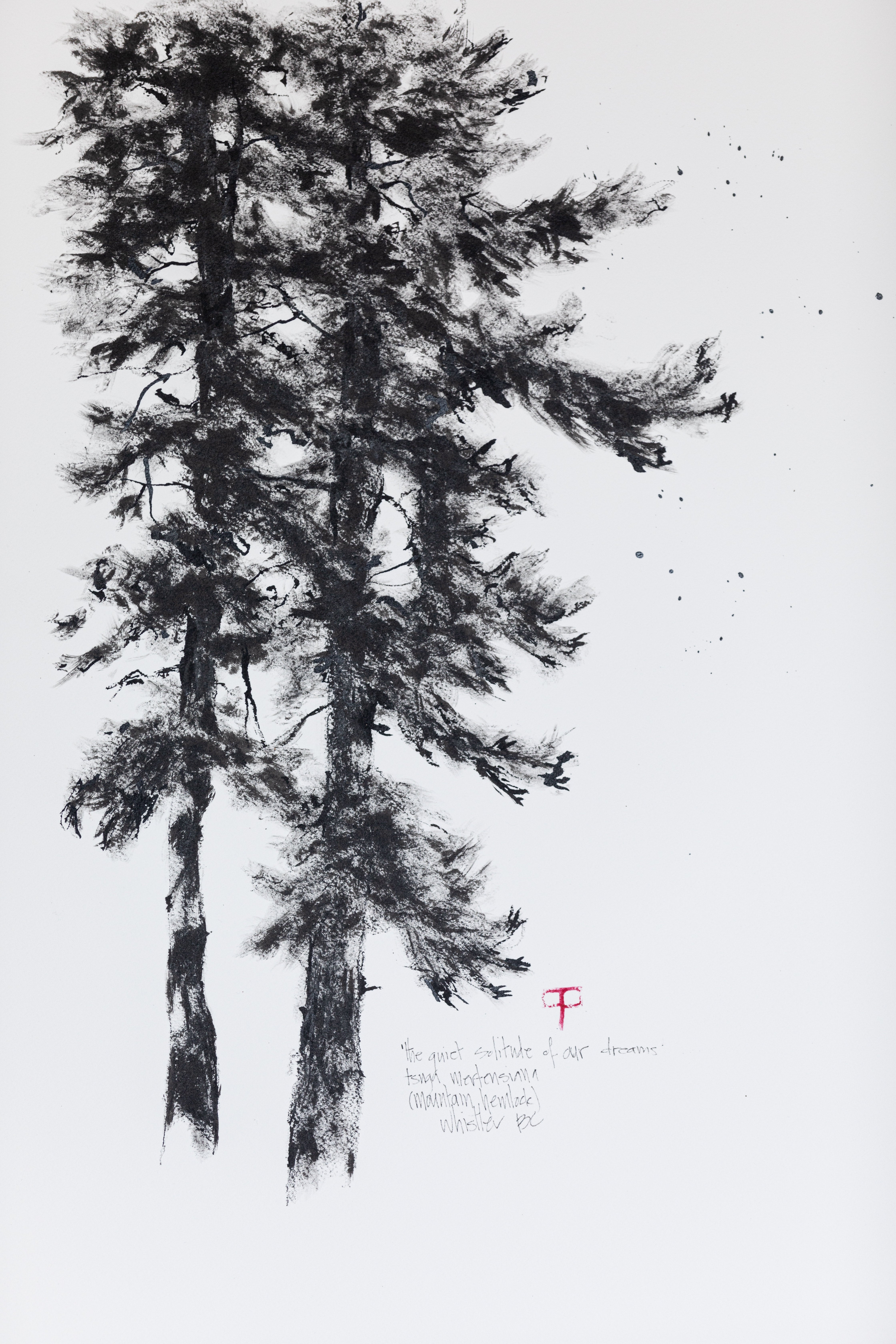 Vector sketch illustration. Black silhouette of Western Hemlock isolated on  white background. Drawing of evergreen coniferous plant, Washington state  tree. Stock Vector | Adobe Stock